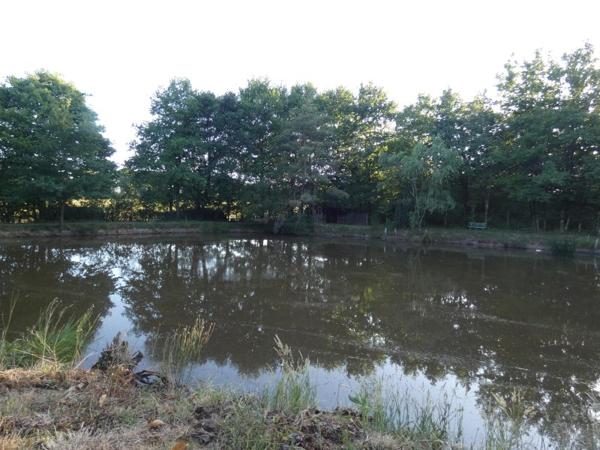 Vente / Terrain de loisirs