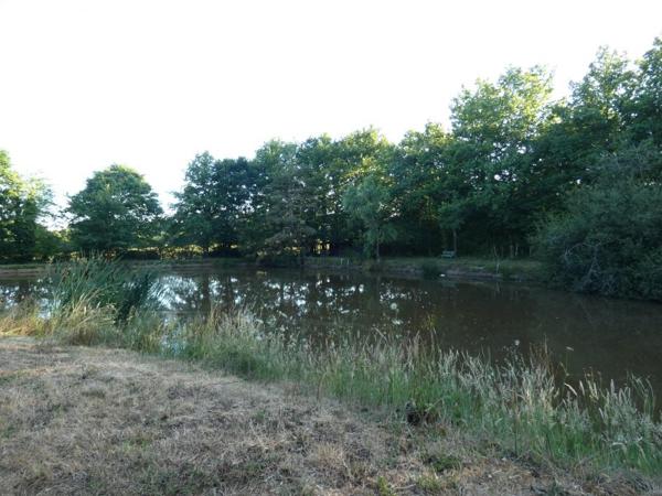 Vente / Terrain de loisirs