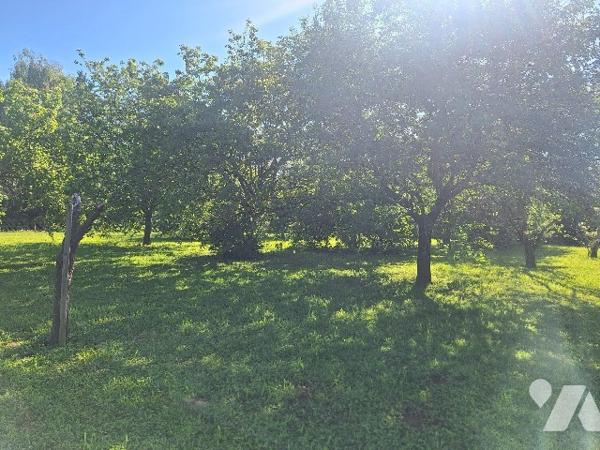 TERRAIN CONSTRUCTIBLE 614M2 SAVIGNE L'EVEQUE