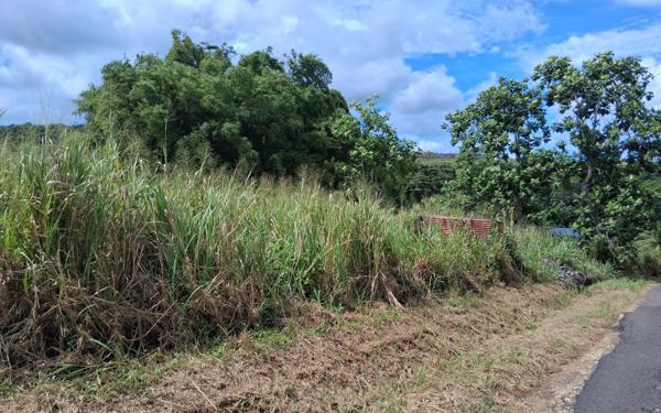Terrain à vendre    Sainte-Rose