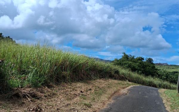 Terrain à vendre    Sainte-Rose
