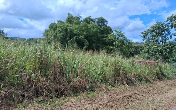 Terrain à vendre    Sainte-Rose