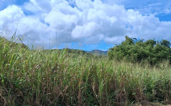 Terrain à vendre    Sainte-Rose