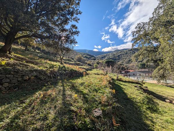 Maison à vendre à Argelès-sur-Mer - 11 pièces avec 8 chambres