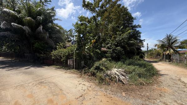 Immobilier Cayenne (97300) – Terrain constructible 350m2 – 112 000 €