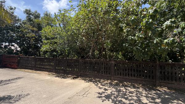 Immobilier Cayenne (97300) – Terrain constructible 350m2 – 112 000 €