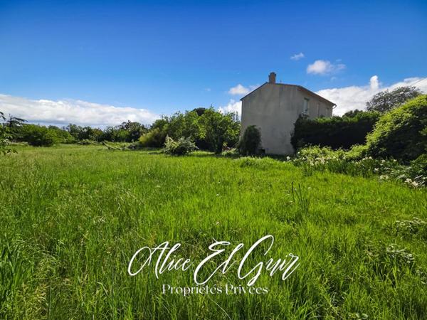 Maison Alzonne 110 m2 sur 3000 m² de terrain