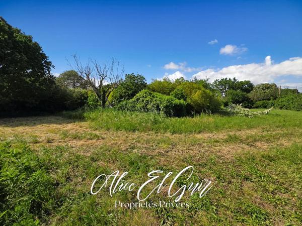 Maison Alzonne 110 m2 sur 3000 m² de terrain