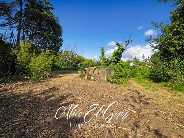 Maison Alzonne 110 m2 sur 3000 m² de terrain
