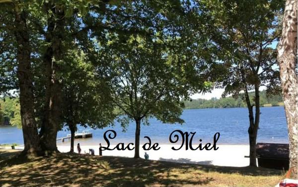 Albussac- Beynat -Grande maison sur 3000 m2 terrain