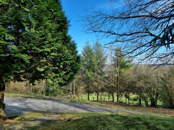 Albussac- Beynat -Grande maison sur 3000 m2 terrain