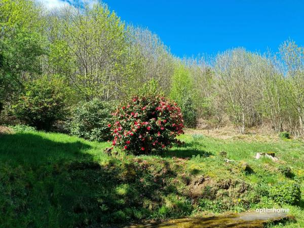 Albussac- Beynat -Grande maison sur 3000 m2 terrain