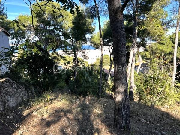 Ce terrain exceptionnel de 2887 m² (coupé en 2 parcelles) est situé sur la face nord du prestigieux Mont Saint-Clair à Sète, il offre une vue imprenable sur l’étang de Thau. Une occasion unique sur le marché.

L’accès au terrain se fait par un droit de passage, suivi d’une descente en pente. Il dispose d’une emprise au sol de 11% et la hauteur de la construction est limitée à 6 m, mesurée à partir du point le plus bas, au niveau de l’égout. Il est possible d’y aménager une piscine à 5 mètres des limites séparatives et deux places de stationnement privatives sont également prévues.

Des travaux de débroussaillage et de terrassement sont à prévoir pour préparer le terrain à la construction. L’assainissement, lui, est déjà réalisé.

Un permis de construire pour le projet est déjà validé dans une des parcelles, et un projet architectural signé par Pierre Di Tucci est un atout supplémentaire pour concrétiser votre vision. Des perspectives du projet sont également fournies en photos, afin de vous aider à mieux vous projeter et visualiser le potentiel du terrain.

Ce terrain est proposé au prix total de 790 000 euros pour une superficie rare de 2887 m², offrant de multiples possibilités : agrandissement de la construction, création de jardins spacieux ou autres aménagements extérieurs.

Il est également possible d'acheter ces terrains séparément, les deux parcelles étant adjacente, chacune étant proposée au prix de 395 000 euros.

Pour toute information complémentaire ou pour organiser une visite, je reste à votre disposition.