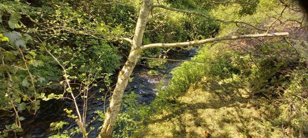 Maison à rénover MOTREFF (29)