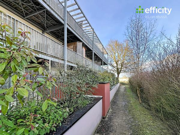 Appartement 4 pièces - 80 m² Exclusivité efficity