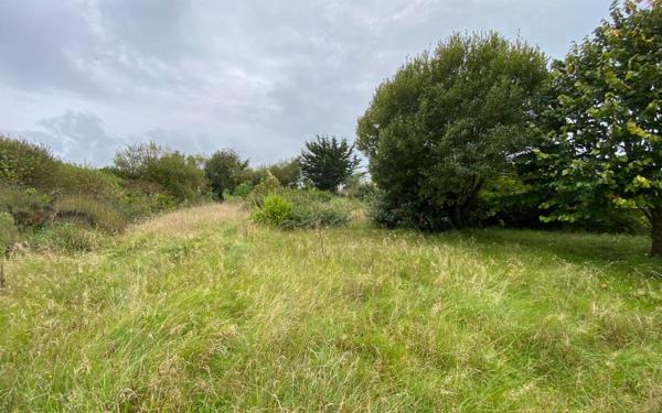 Terrain à vendre
