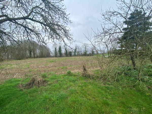 Maison à vendre à Gaël en Ille-et-Vilaine (35290), ref : 133/1592