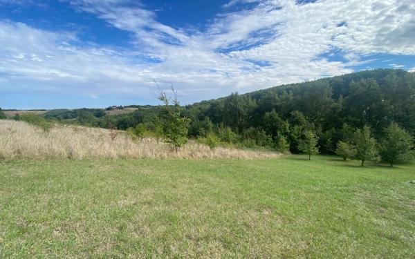 Maison à vendre    3 pièces •  Montauban