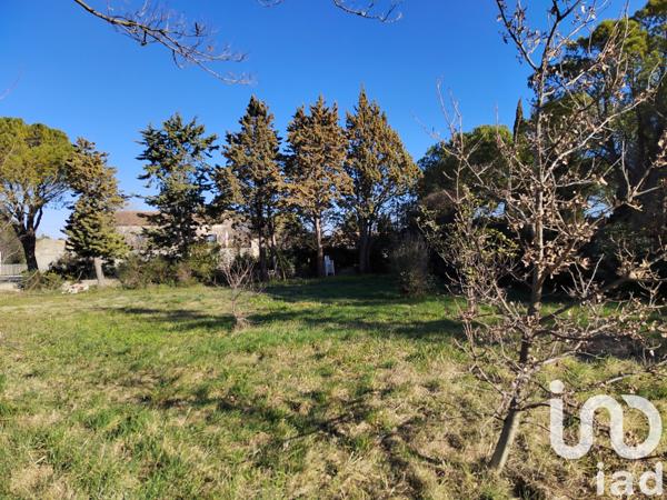 Terrain à vendre 856 m² Sainte-Cécile-les-Vignes