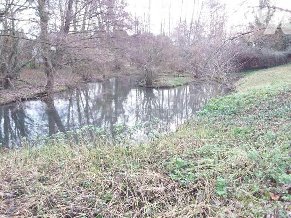 GRANDE MAISON DE CHARME ENTRE MONTRICHARD ET CONTRES
PROCHE COLLEGE ET LYCEE DE PONTLEVOY ET S...