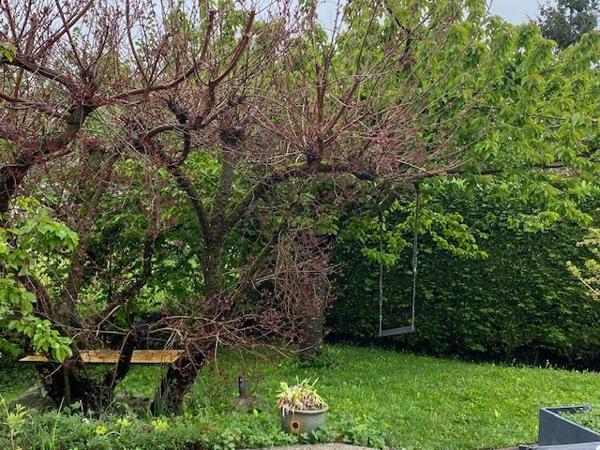 Maison avec piscine , secteur calme