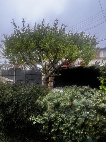 Maison dans Ormesson-sur-Marne