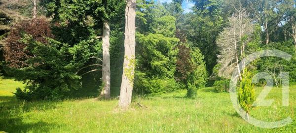 Terrain à vendre  1317 m2 ST HILARION - 78