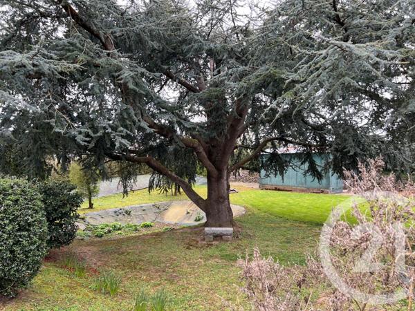 Maison à vendre  5 pièces - 109,33 m2 ST HILAIRE PETITVILLE - 50