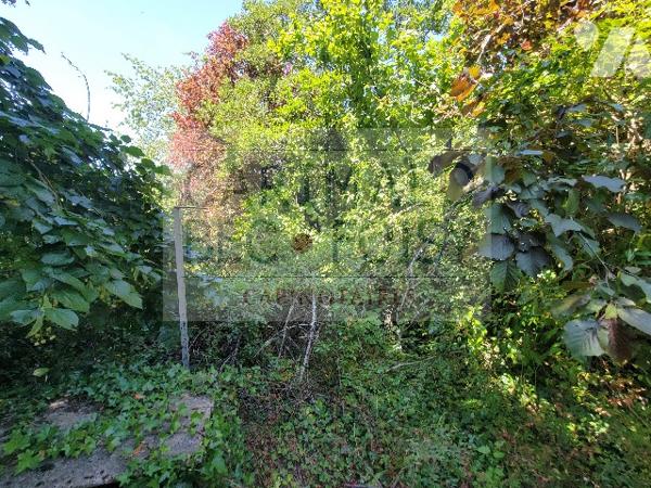 Beau potentiel à Pezou