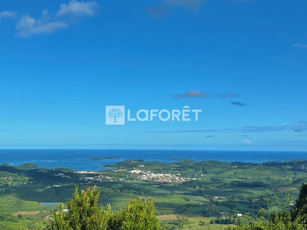 Location appartement Le François - 2 pièce(s) - 35 m² - 750 €/mois