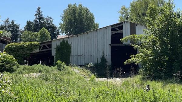 GRAND HANGAR 1000 m2 avec PATURE 27000 M2