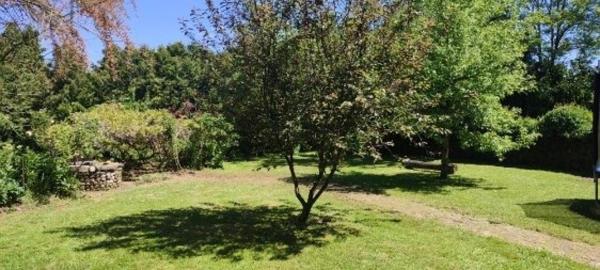 Maison en pierre - dépendances - puits