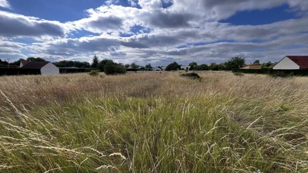 Terrain à vendre |  Thésée |  4078 m²