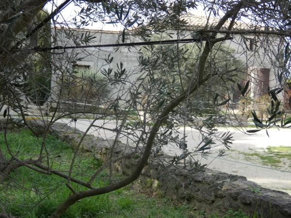 Mas à vendre 9 pièces SAINT REMY DE PROVENCE (13)