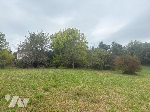 Avec son terrain arboré d'environ 3500 m², cette ancienne maison en pierre est à rénover !