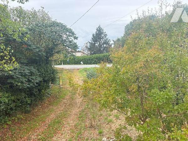 Avec son terrain arboré d'environ 3500 m², cette ancienne maison en pierre est à rénover !