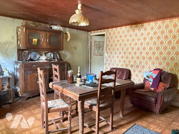 Avec son terrain arboré d'environ 3500 m², cette ancienne maison en pierre est à rénover !