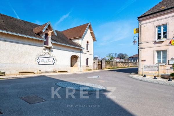 Maison vigneronne 198 m2 - 5 chambres - cave voûtée -vue vignes - Bourgogne