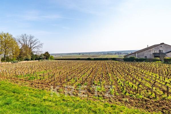 Maison vigneronne 198 m2 - 5 chambres - cave voûtée -vue vignes - Bourgogne