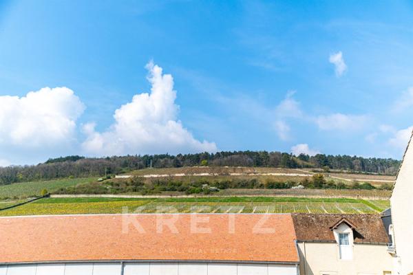 Maison vigneronne 198 m2 - 5 chambres - cave voûtée -vue vignes - Bourgogne