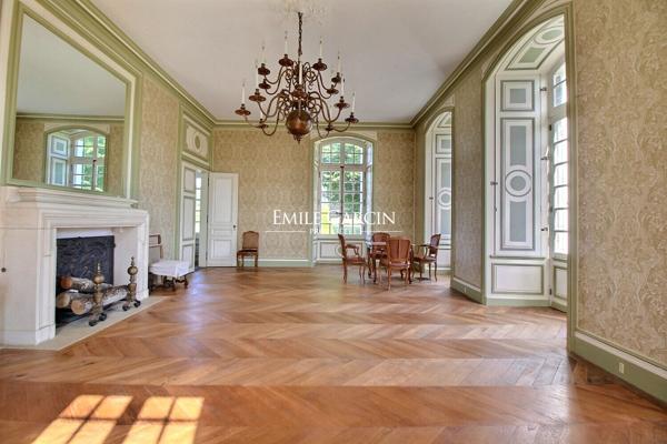 Château et dépendances sur 9 hectares à vendre  en Sarthe