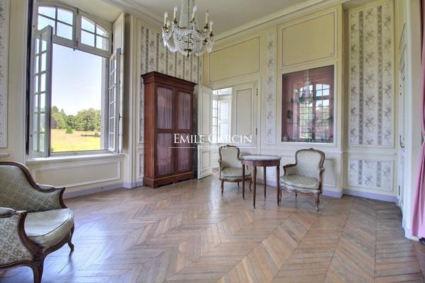 Château et dépendances sur 9 hectares à vendre  en Sarthe