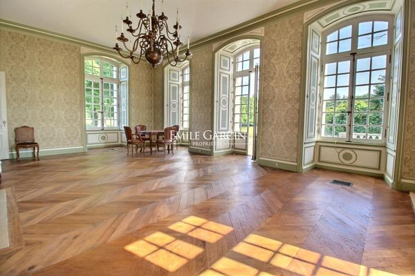 Château et dépendances sur 9 hectares à vendre  en Sarthe