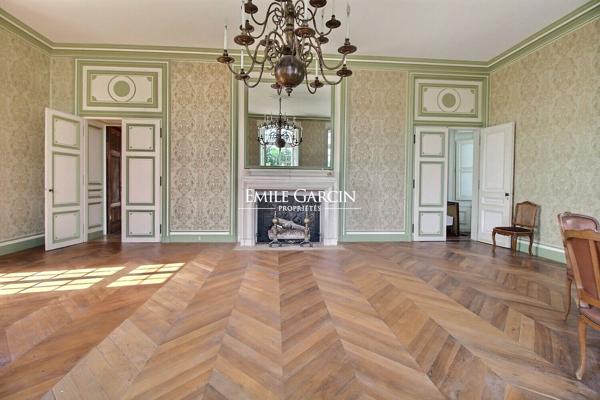 Château et dépendances sur 9 hectares à vendre  en Sarthe