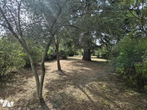 Maison d'environ 170 m² sur sous-sol complet, à rafraîchir,  terrain 3741 m² arboré 