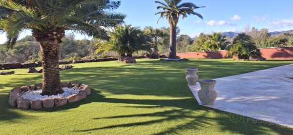 Maison à FREJUS (83600)