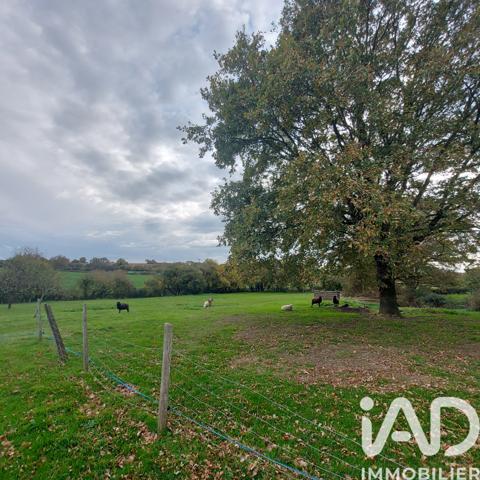 Maison à vendre 10 pièces 236 m² Trémentines