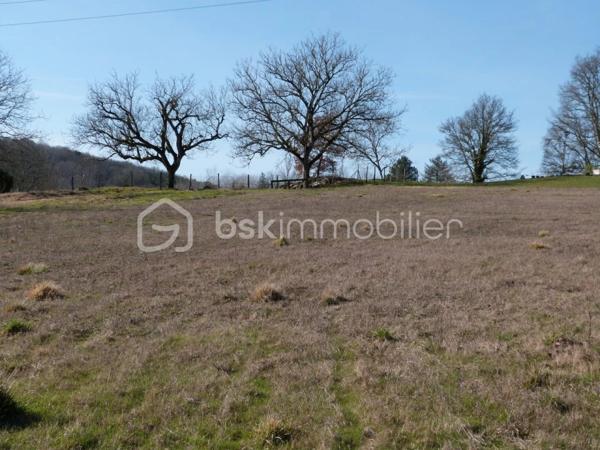 Terrain de 5 693 m²