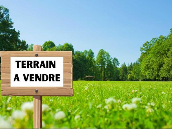 Vente / Terrain constructible