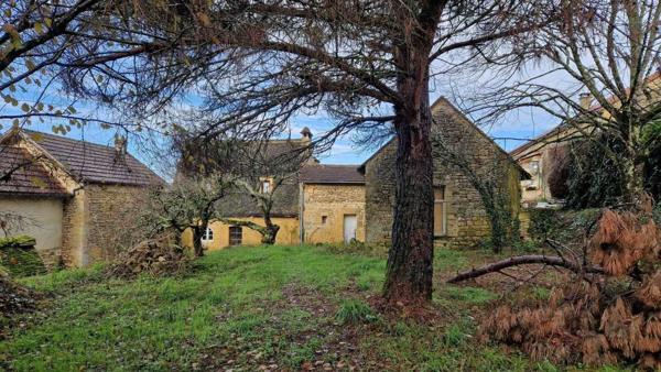 Maison ancienne - Les eyzies Charmante maison en pierres aux Eyzies avec jardin